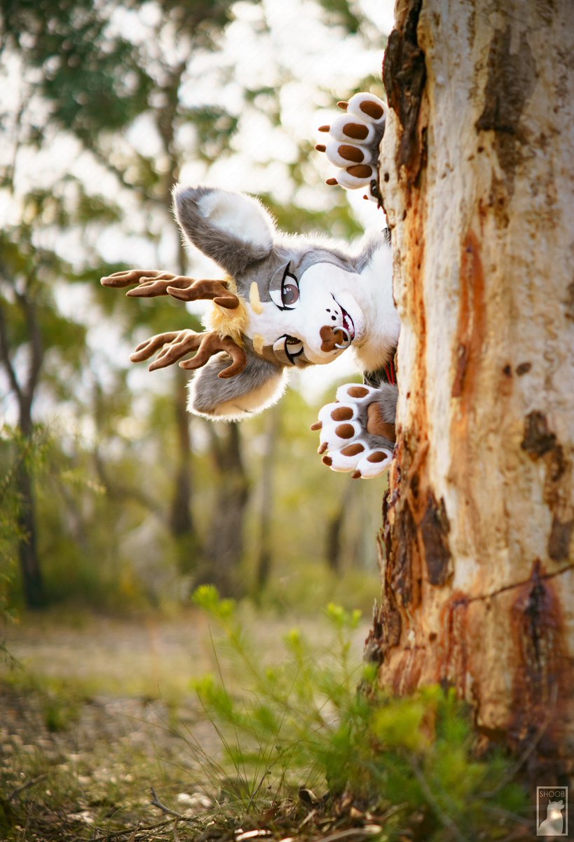 Oh hi there, what you doing all the way over there? 

📸 <a href="/metashibe/">meta</a>