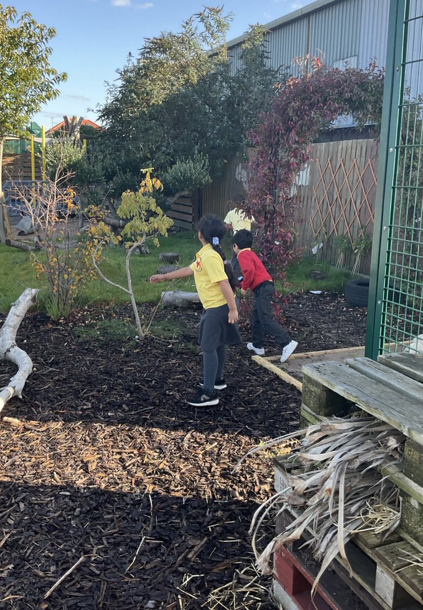 Mental Health and Wellbeing at Phoenix tweet media