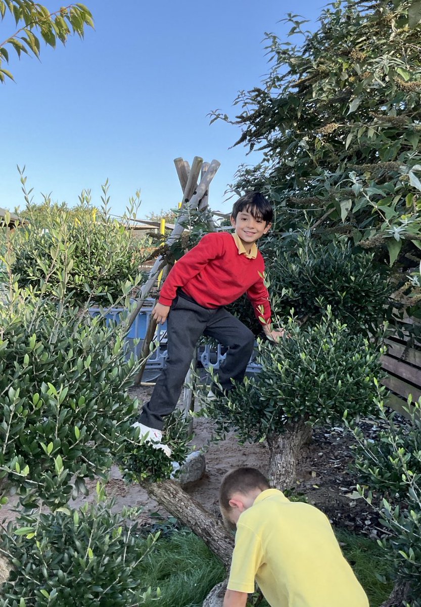 Mental Health and Wellbeing at Phoenix tweet media