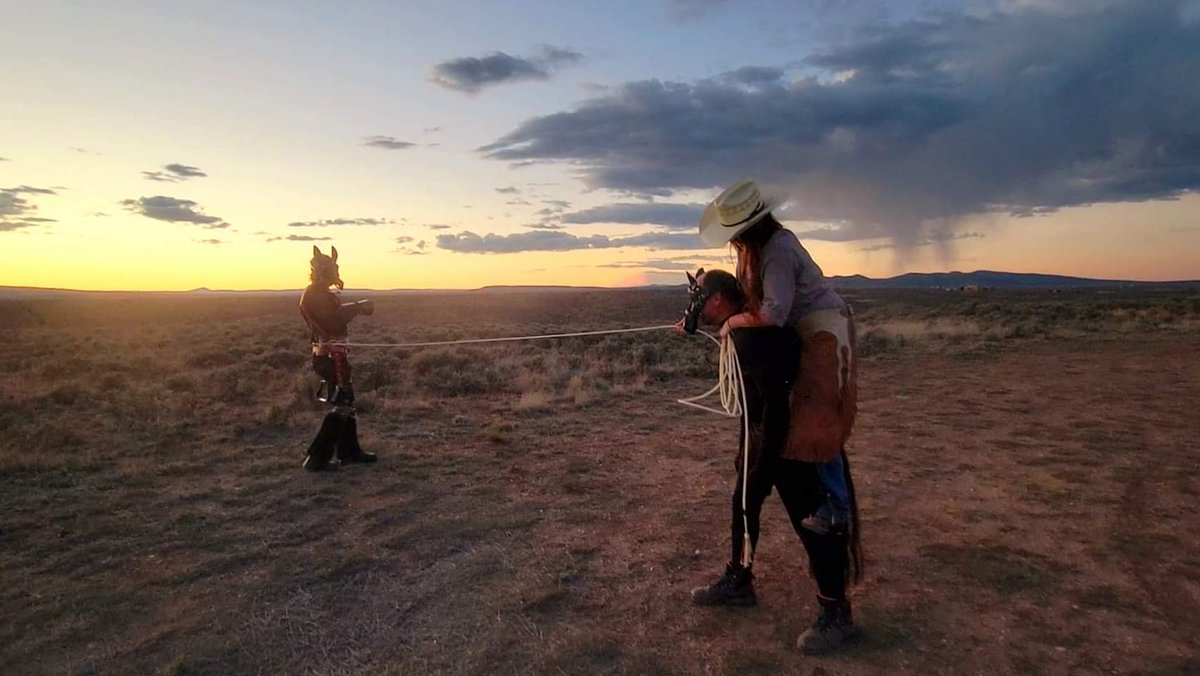 RaynePet's tweet photo. Charisma riding her Diesel catching a wild pony! https://t.co/O4la5M3bFj