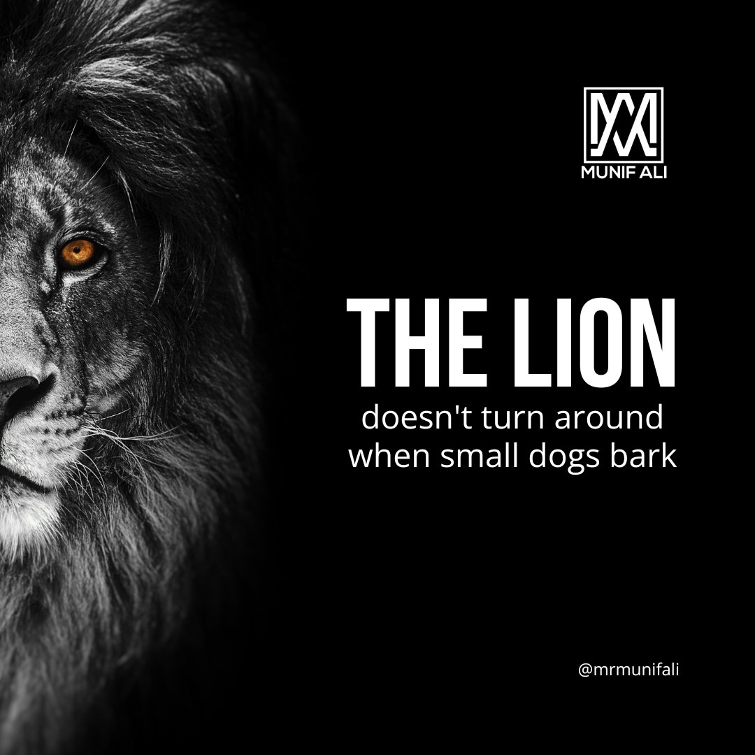 Don't let the noise of negativity deter you. 
Like a lion, stay determined and move forward. 🦁🚀

Let's connect and chat—message away.

#StayDetermined #NegativityNotWelcome #LionHearted #KeepMovingForward #FocusOnGoals #DeterminationMatters #Unstoppable #RoarOfResilience