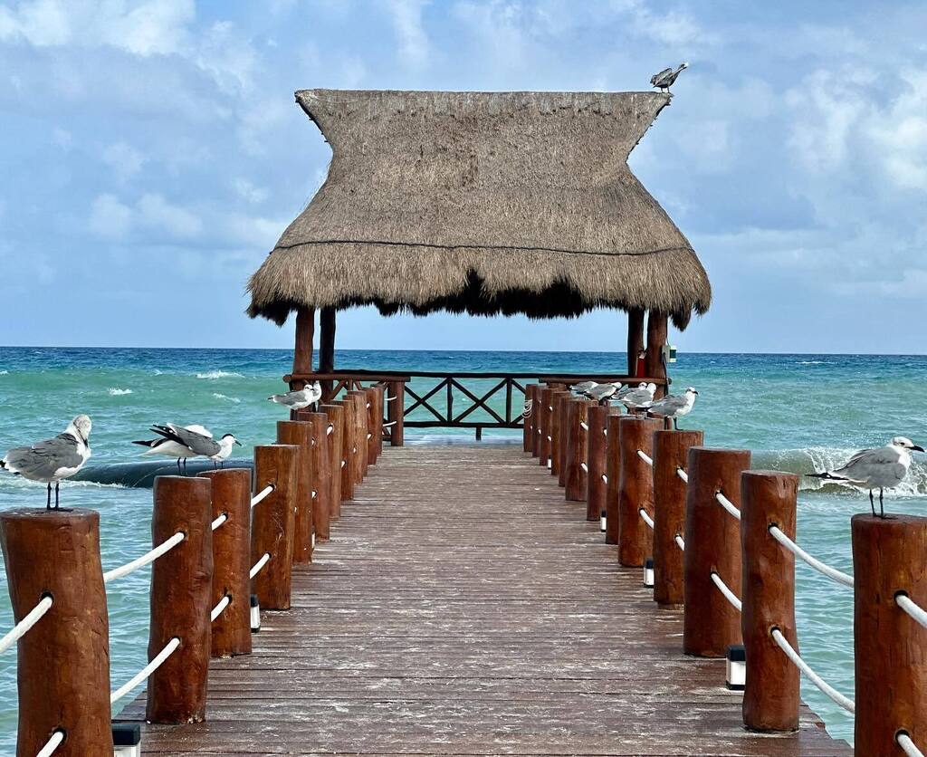 Heather Asbell tweet media