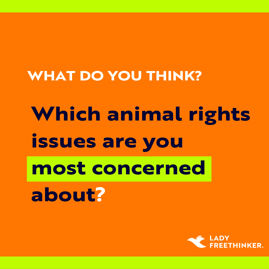 LadyFreethinker's tweet photo. Which #animalrights issues are you most concerned about? Which issues do you want to learn more about? Let us know!

#animals #animalwelfare #wildanimals #companionanimals #trophyhunting #cosmetictesting #animalexperimentation #animalabuse #animallaw #farmedanimals #fur #zoos https://t.co/IDSQPiYubw