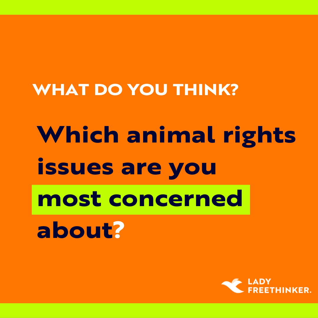 Which #animalrights issues are you most concerned about? Which issues do you want to learn more about? Let us know!

#animals #animalwelfare #wildanimals #companionanimals #trophyhunting #cosmetictesting #animalexperimentation #animalabuse #animallaw #farmedanimals #fur #zoos