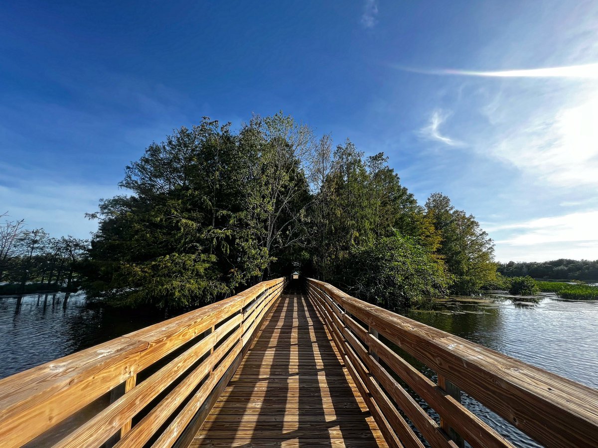 #itsbeenawhile but finally had a chance to visit my beloved #greencaywetlands #greencay on a #majestic #beautiful #gorgeous #florida day #boardwalk #outside #sky #clouds #trees #water #admirenature #creationshouts #appreciatelife #endofday #therightway