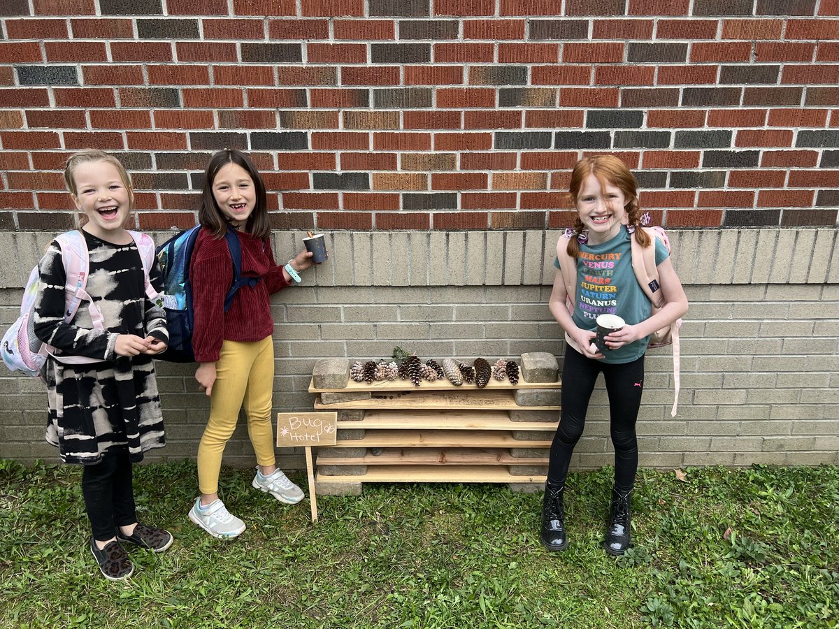 mlyons2350's tweet photo. The Hamlin Garden Club collaborates to create and fill the courtyard with a bug hotel and kindness rock garden. #rcspride @HamlinHawks13 https://t.co/XznhuCuyGo