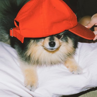 bangtanteca's tweet photo. #NewProfilePic tannie is so slayful 🥺 https://t.co/BGBOjJRPlP