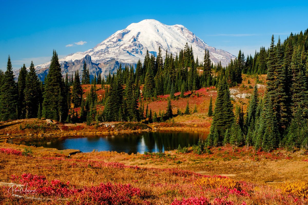 Paul Marcoe | PNW Photographer tweet media