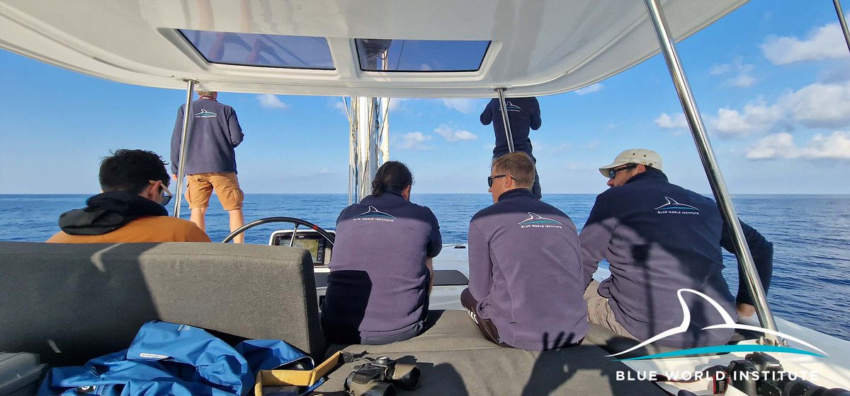 BlueWorld_Inst's tweet photo. We have started the first collaborative research of Cuvier's #beakedwhales in the Adriatic! Researchers from @ISPRA_Press, @CIMAFoundation, #CETASMUS & @HPM_Zagreb will work throughout October. #Ziphius #BWIScience #AdriaticDolphinProject #MarineRanger https://t.co/1FO5X4o1lM https://t.co/FOZNxIxzUU