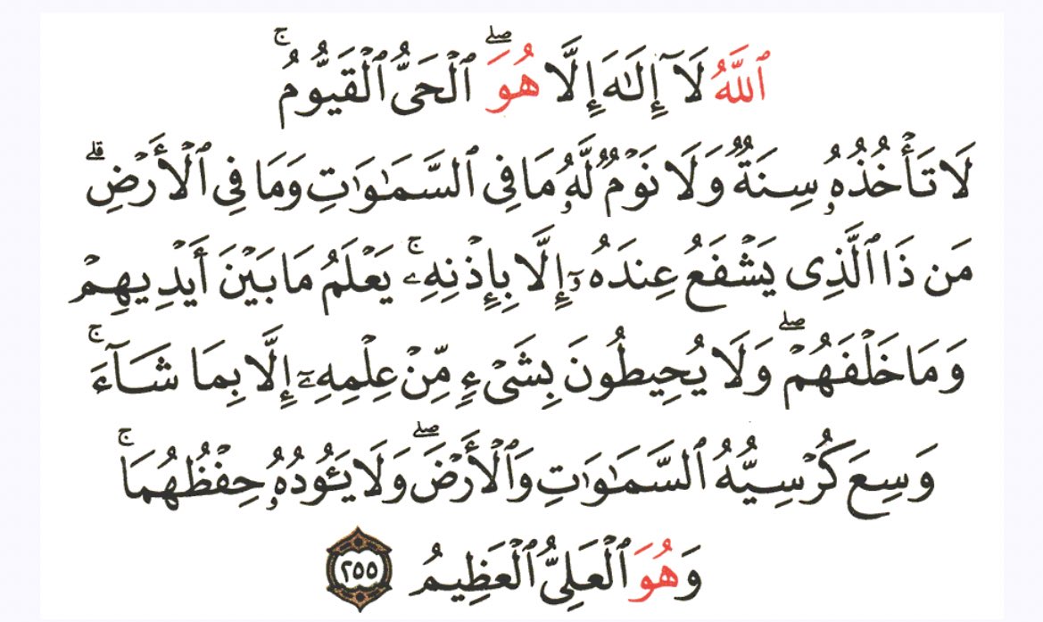 Mamdoh Alaa (@mamdohalaa6) on Twitter photo 