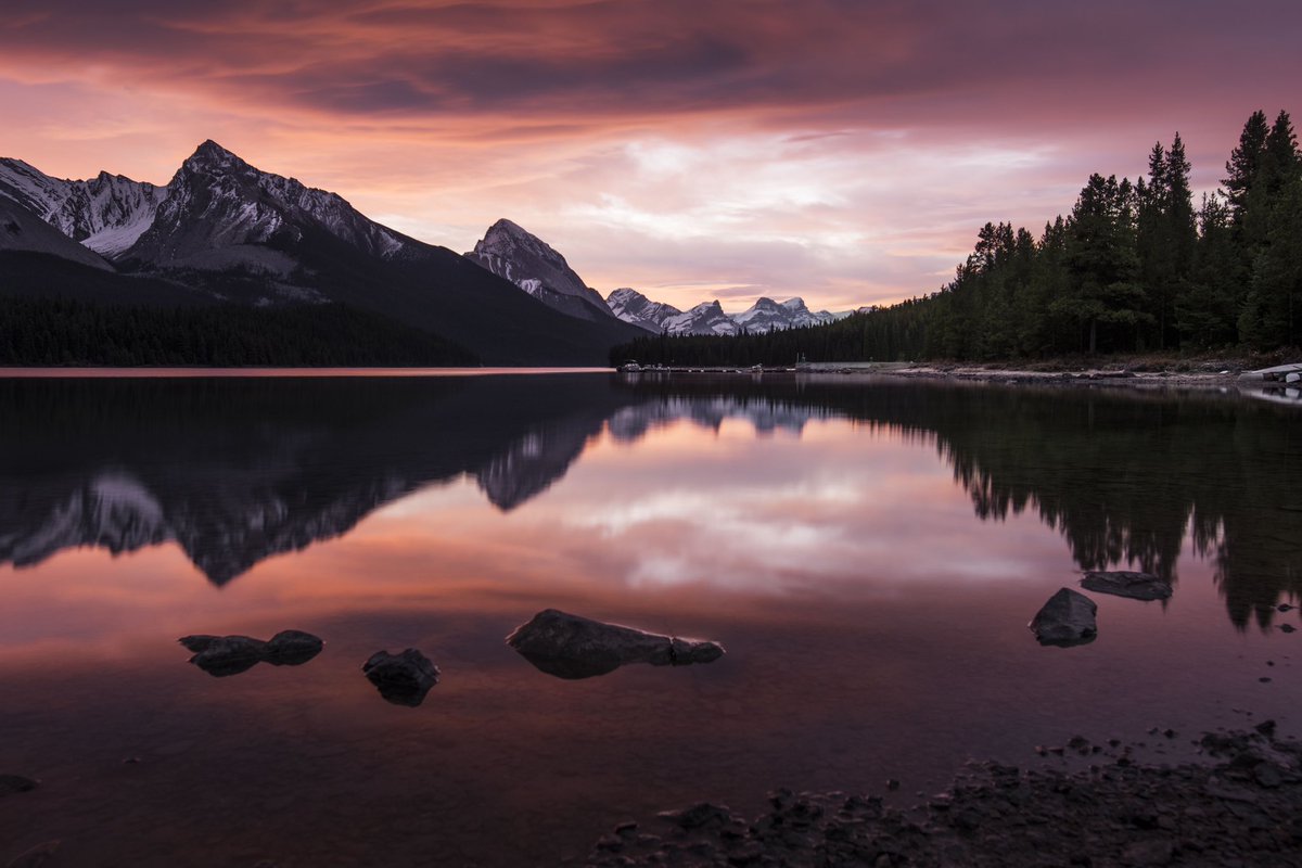 Kristamay.eth tweet media