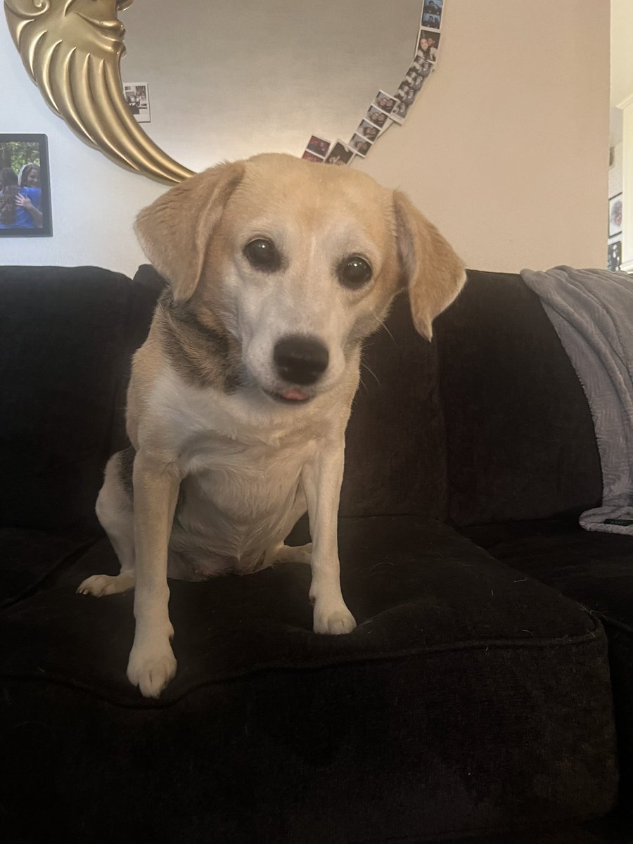 Melonballer22's tweet photo. She’s making sure she gets one of the last 2 cheese it’s. https://t.co/1FS3FEd7by