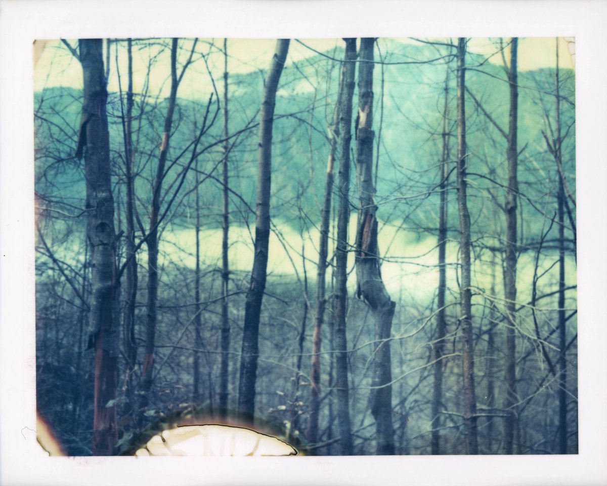 Documenting the regrowth of a scorched landscape

Polaroid 669 expired 1997
Polaroid 180 Land Camera 

#BelieveInFilm #sheshootsfilm #filmisnotdead #polaroid669 #instantfilm #wildfire #LandCamera