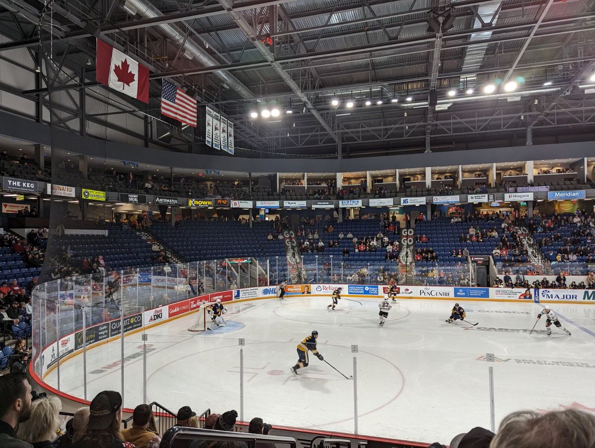 D+M+V+7+D tweet media