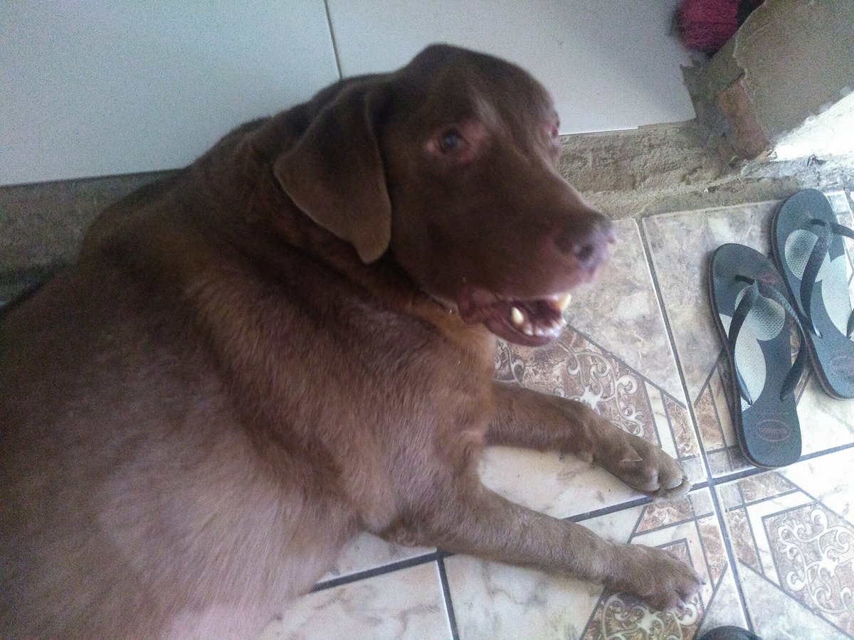 DeliveryGodRafa's tweet photo. "você era minha força, apartir de hoje será minha estrela" https://t.co/VlUW4z9jUl