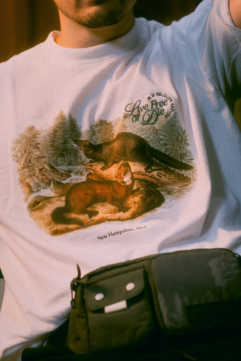 MogulMoves's tweet photo. Mogul New Hampshire Drop
Tomorrow 12 PM PT
https://t.co/76guWF1HkP https://t.co/oPtKYa12sT