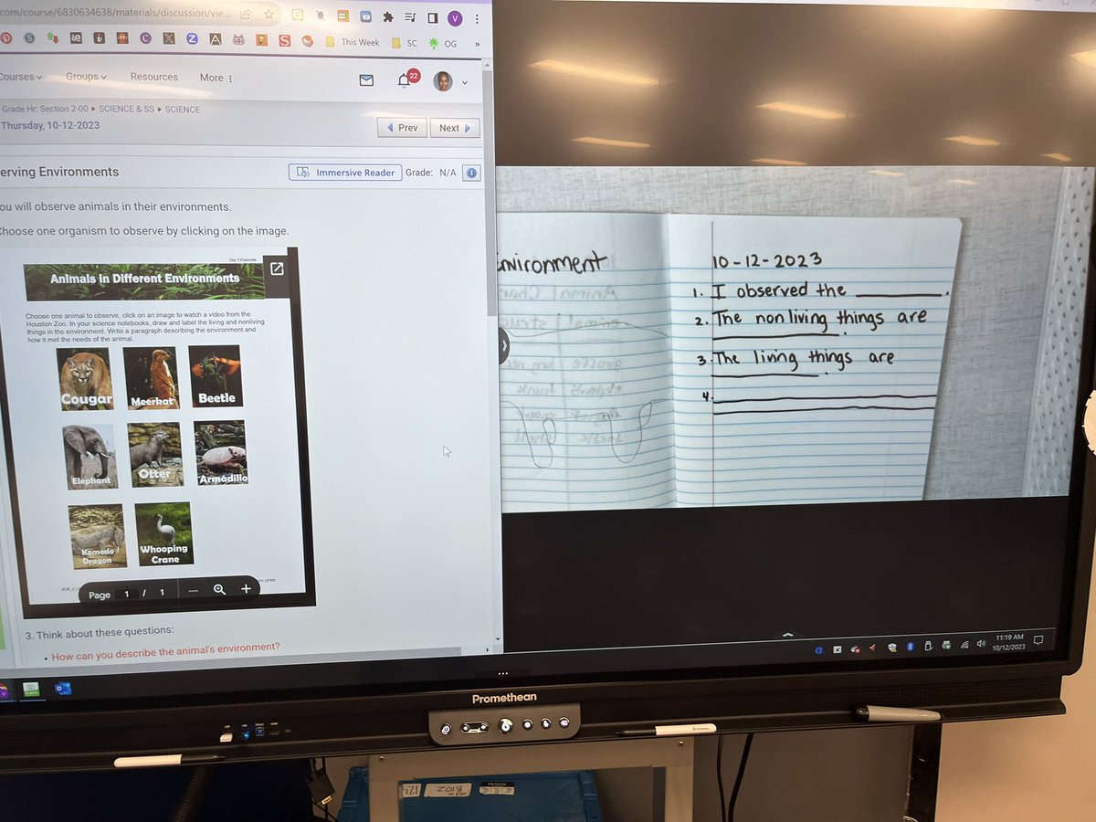 mrscoddsclass's tweet photo. A little animal environment research today using videos from the @houstonzoo #secondgradescience https://t.co/XE6fuOsTXW