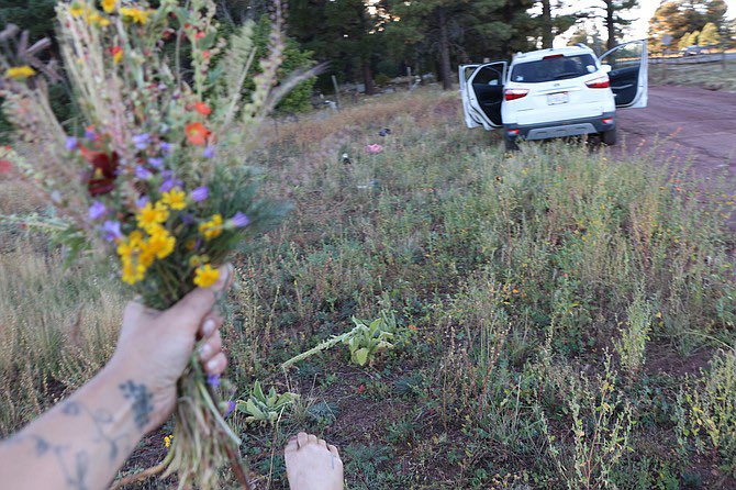 901Lulu's tweet photo. Chelsea Grimm was last seen on September 28th in Williams, Arizona. She planned on driving from San Diego, California to Connecticut. Vehicle was found abandoned in Ashfork, Arizona on October 5th. Her bearded dragon, Roxy, is also missing. Please share. #MissingPerson https://t.co/Cuo8aKwhnK