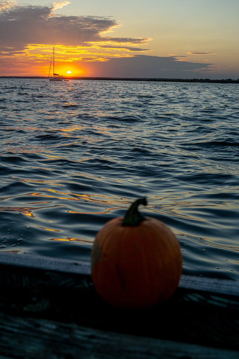rivsauber's tweet photo. Views🎃✨🌅
#sunset #sunsets #sunsetphotography #octobersunset #SonyAlpha https://t.co/E3lBI0OjET