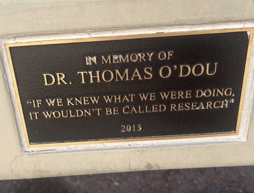 Spied on a walk through UNLV's beautiful campus