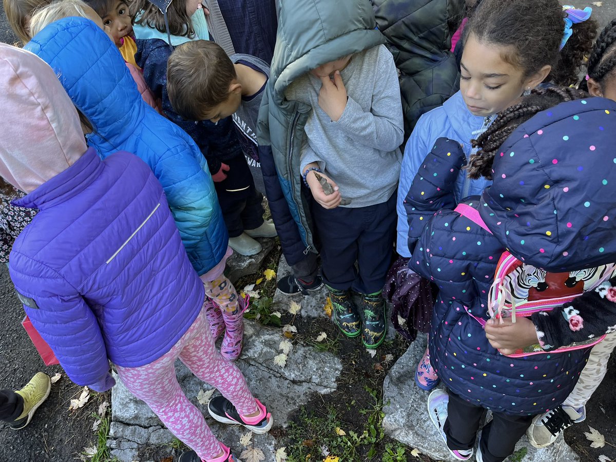 Outdoor exploration day. We had to estimate how many children could fit on the rocks. How many do you think?