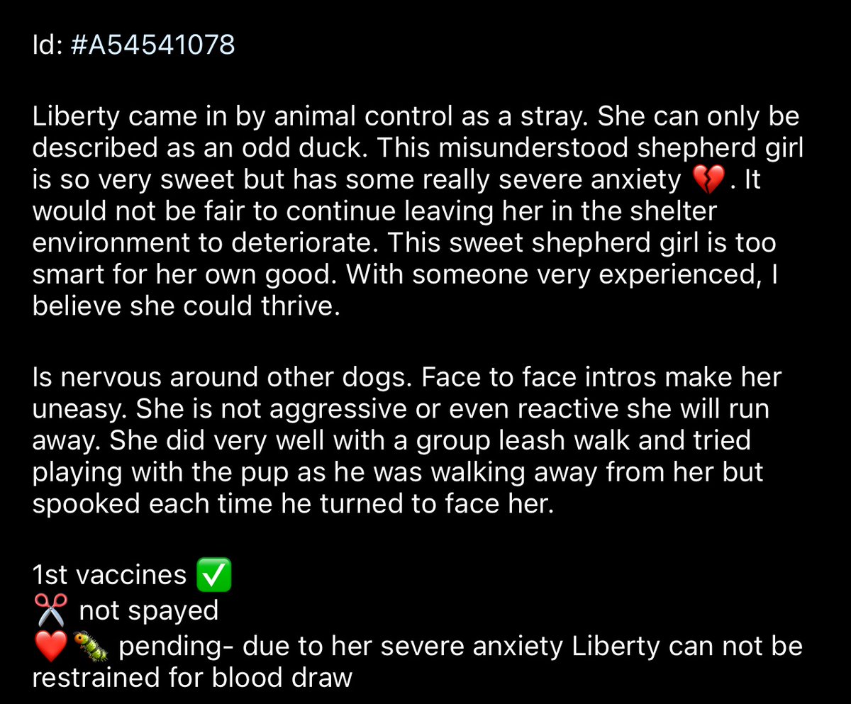 Sweet shepherd girl has less than 24 hours. Top of euthanasia list 💔
📍 Lancaster, SC
🆘 See photos for details 
☎️ 803-286-8103
#adoptdontshop #shepherdpup #SouthCarolina #saveashelterdog #dogs #puppies @Gingy4Usa @Dubs4Mutts 
@TomJumboGrumbo @LolaPatolla