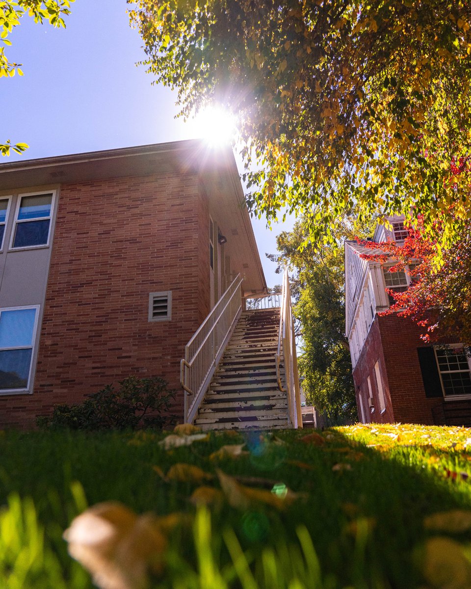 bushnelluniv's tweet photo. These fall vibes are immaculate 🍂🍃
Comment your favorite fall activity!
#falloncampus #WeAreBushnell #christanuniversity #eugene https://t.co/WUTVlUIkFR