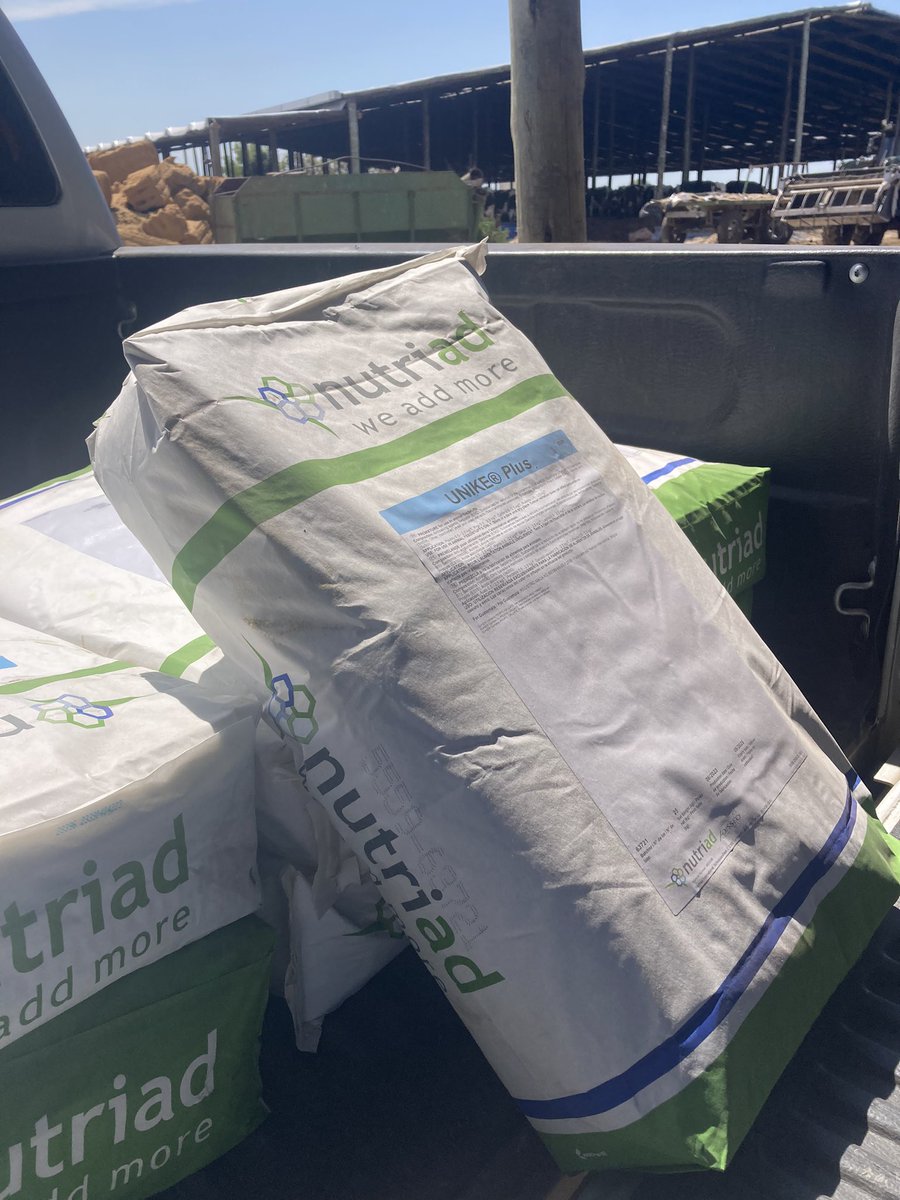 sns_uruguay's tweet photo. #UnikePlus es la elección inteligente y natural para el control y tratamiento de las #micotoxinas presentes en los alimentos para las lecheras 

No arriesgue su capital genético , prevenga con #UnikePlus de @Adisseo 💪🏻🐮 https://t.co/8pLx3C6pNK