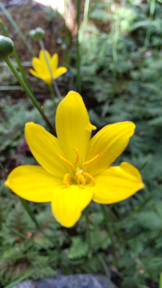 空家が野良ニャンの住み家になっていて、そのニャンの餌やりおばちゃん、お兄さんが居るのですが……その餌ほぼカラスの餌になってます……。ニャンが可愛いのはわかりますが……餌やりはやめて！！ほしいです。
