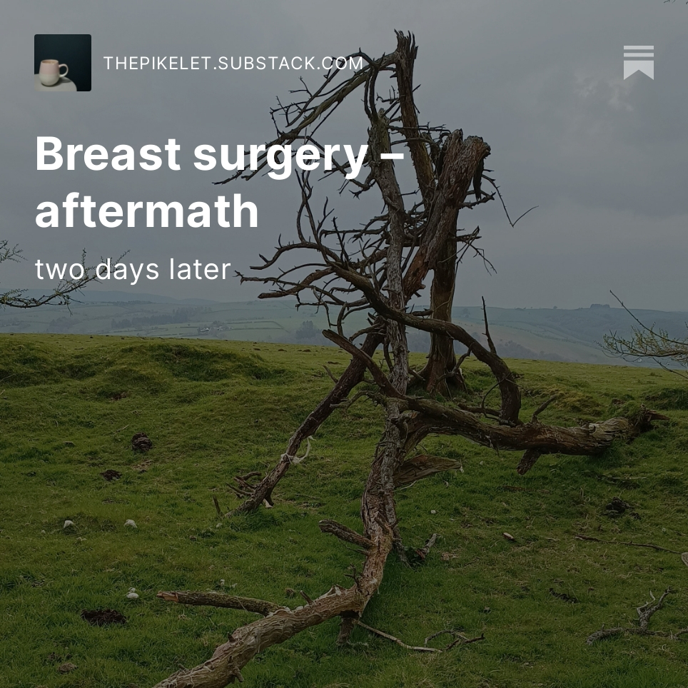 thePikelet's tweet photo. "And yet, by way of a broken and depleted health-care service, I am  changing my own dressing in my bathroom in a state of emotional  meltdown."

Read my #BreastCancer diary.
#BreastSurgery #Cancer #NotesOnCancer

https://t.co/qHECJowIgX https://t.co/5bVtEfWZhs