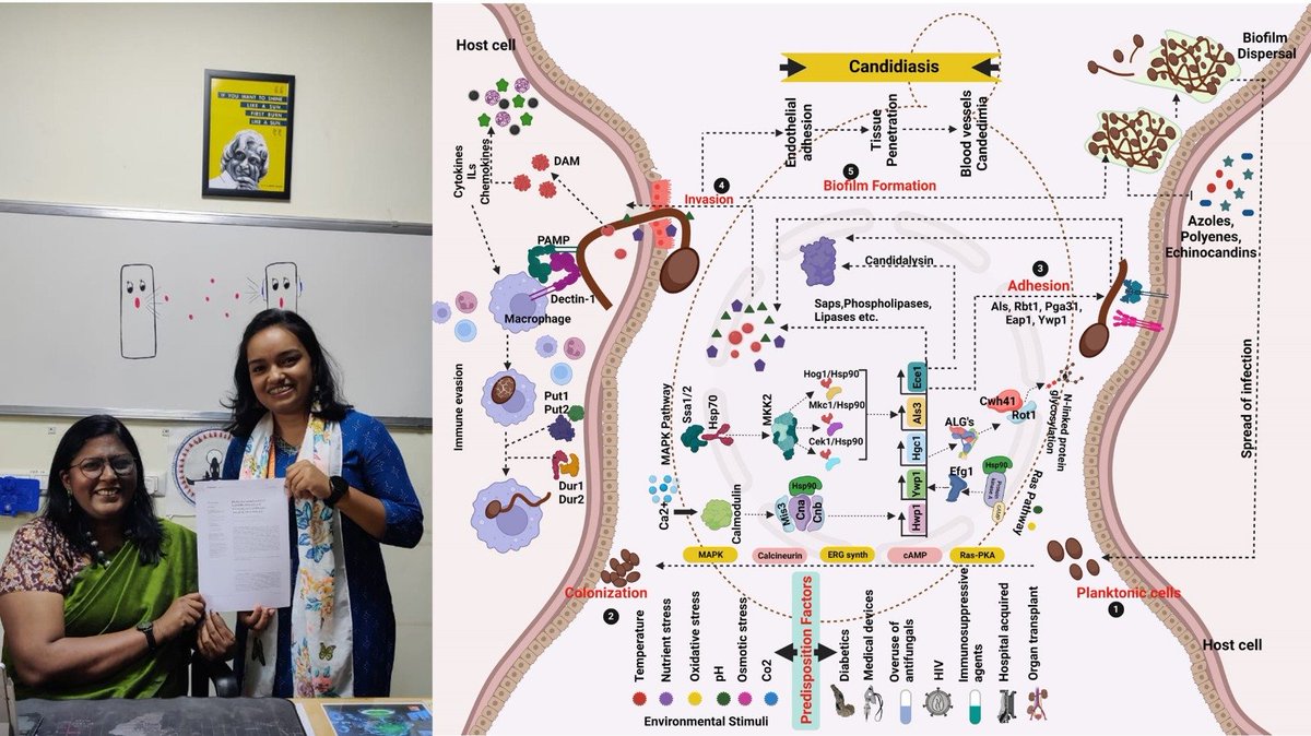 'Exciting news from QSL @ SASTRA! We're thrilled to share our latest publication on vaginal candidiasis caused by C. albicans. Big congratulations to the talented author, Helma David! 🎉📚 #ResearchMilestone #ScienceAchievement'@helma_david97 @solomon_qsl @FrontCellInfect