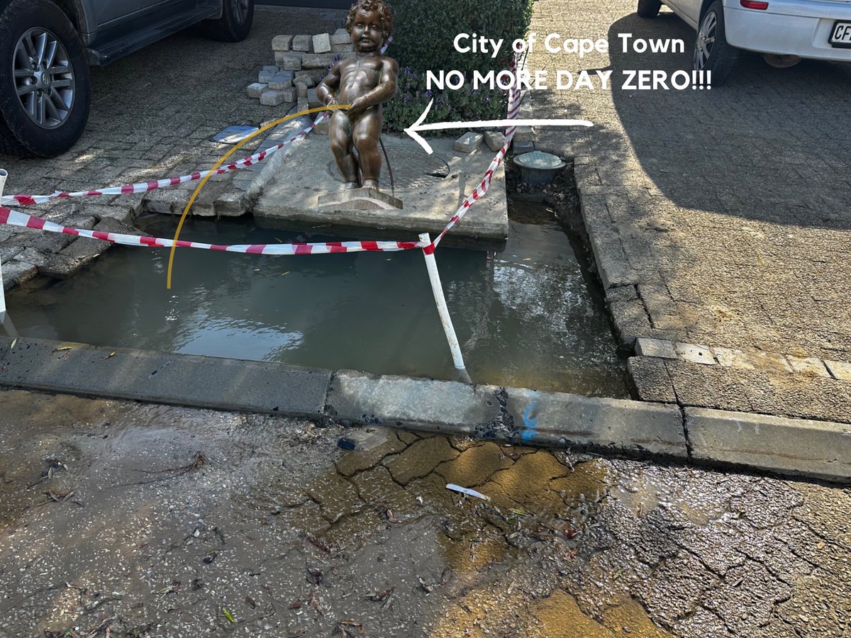 Wessel van den Berg tweet media