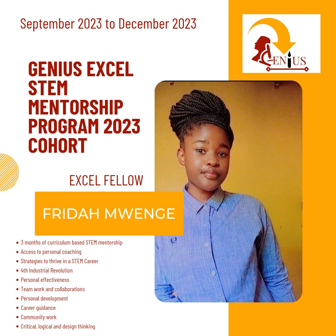 Genius Education Zambia tweet media