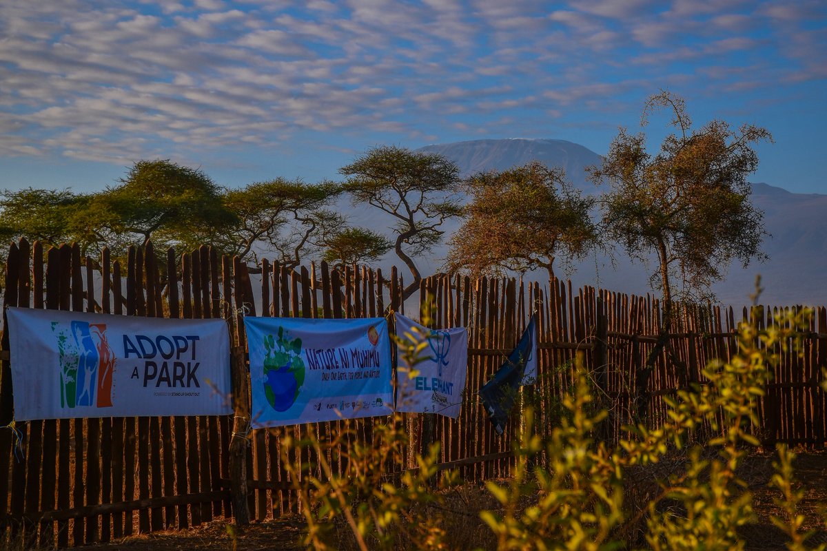 SUSOyouth's tweet photo. Good morning from our camp in Amboseli, where the sunrise paints the sky with hope for a day dedicated to improving livelihoods through conservation. 🌅🌿  Youth inclusion in conservation is sustainable development @Nature_Africa 
#ImprovedLivelihoods
#PoweredByConservation https://t.co/IGYxvAZAnv
