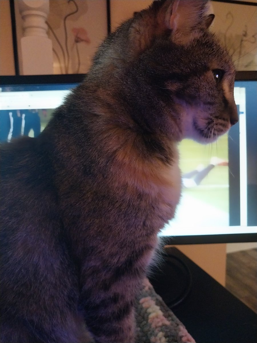 The situation is getting critical.