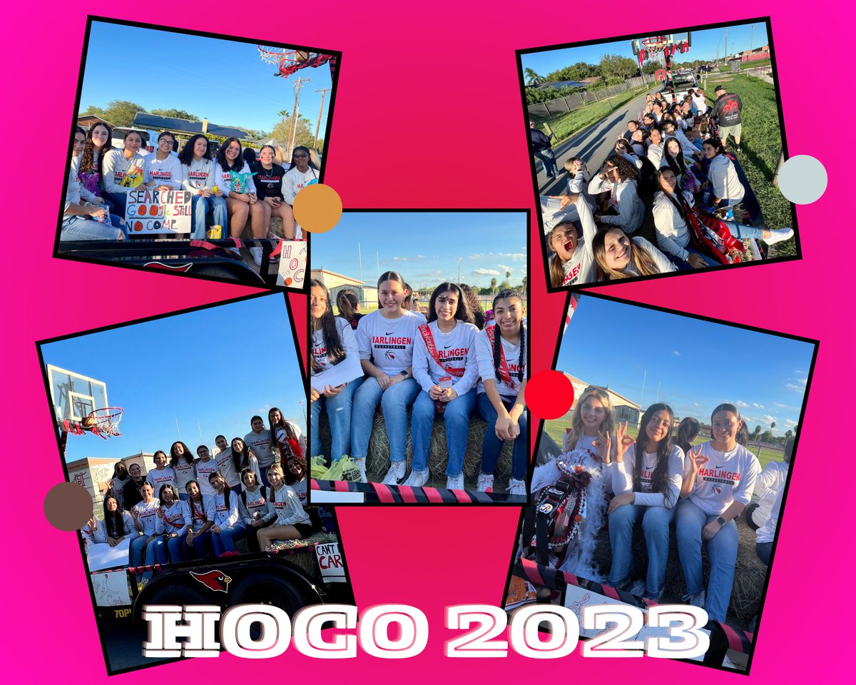Harlingen Lady Cards tweet media