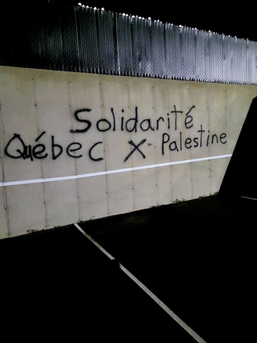 La résistance n'est pas un crime. Solidarité, jusqu'à la victoire🇵🇸 [1/3]