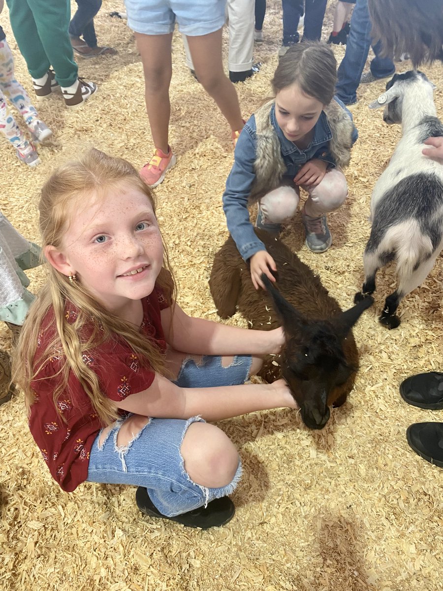 Speegleville's tweet photo. 3rd grade had fun at the fair! #MidwayISD #SPELearning #SpeeglevilleProud #hotfair https://t.co/jqMCghdCC9