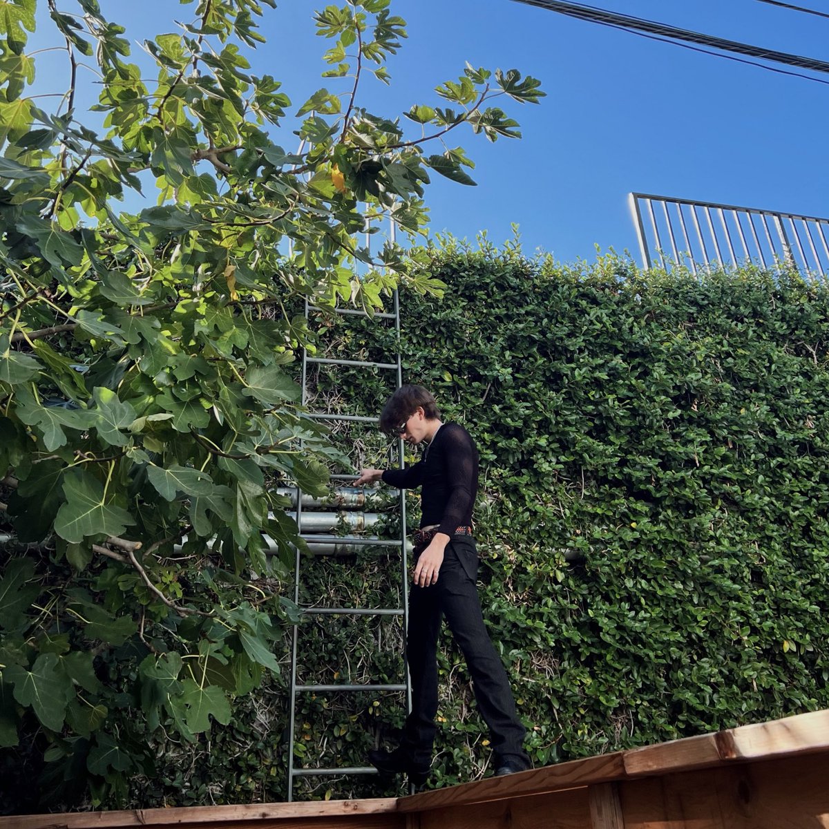 Johnny Orlando (@johnnyorlando) on Twitter photo 