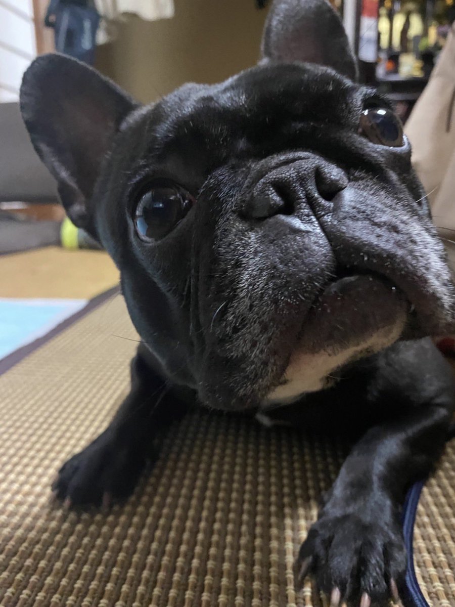 sio_0928's tweet photo. @sungbinhwang02 #画家坂本龍
よろしくお願いします🙇‍♀️ https://t.co/SNUygwKCkz