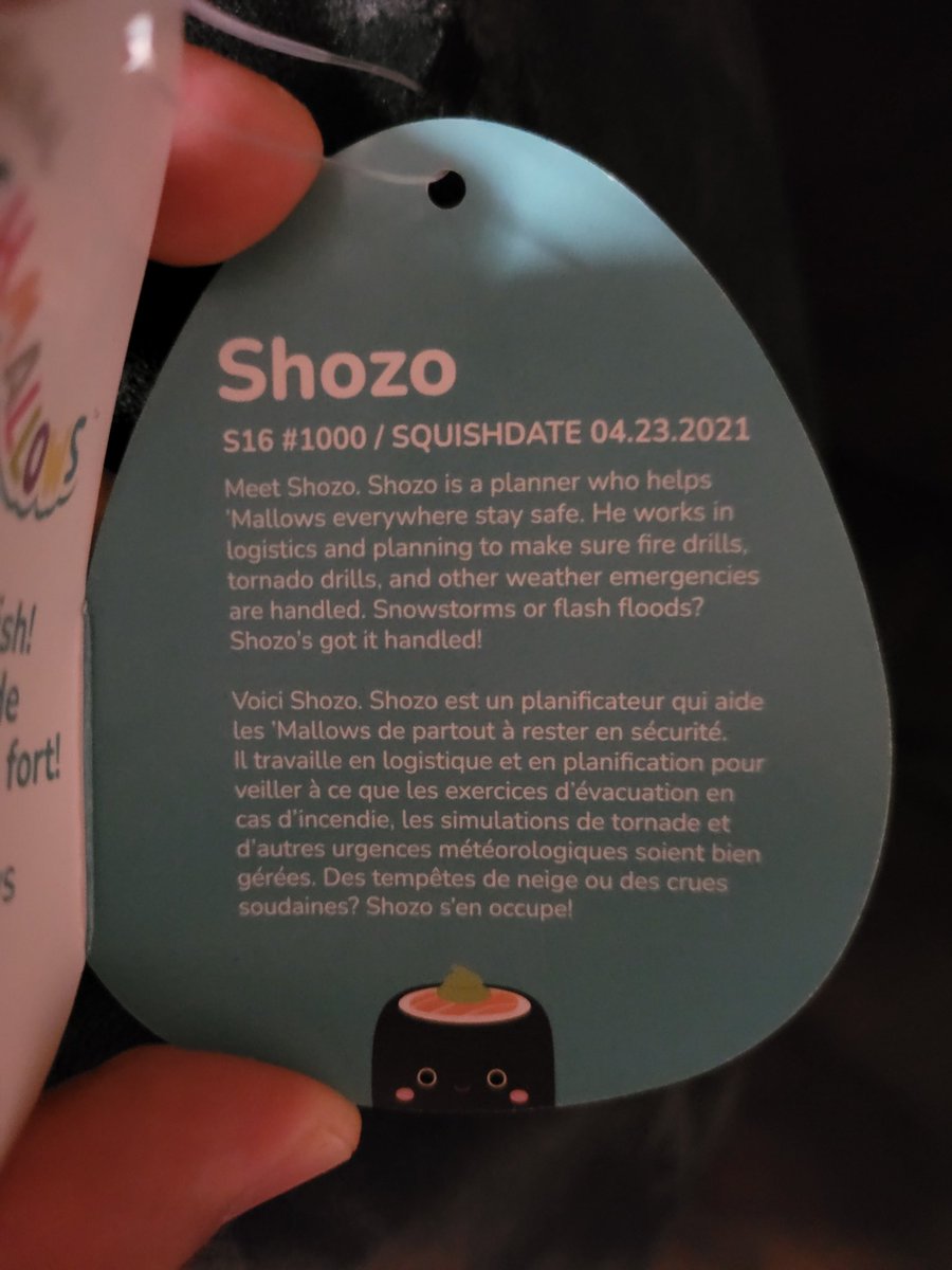 At Costco, the wife and I discovered a squishmallow who is an emergency manager with a meteorology background. Who knew there's a spirit animal (well squishmallow) for #wxtwitter and #EMGTwitter