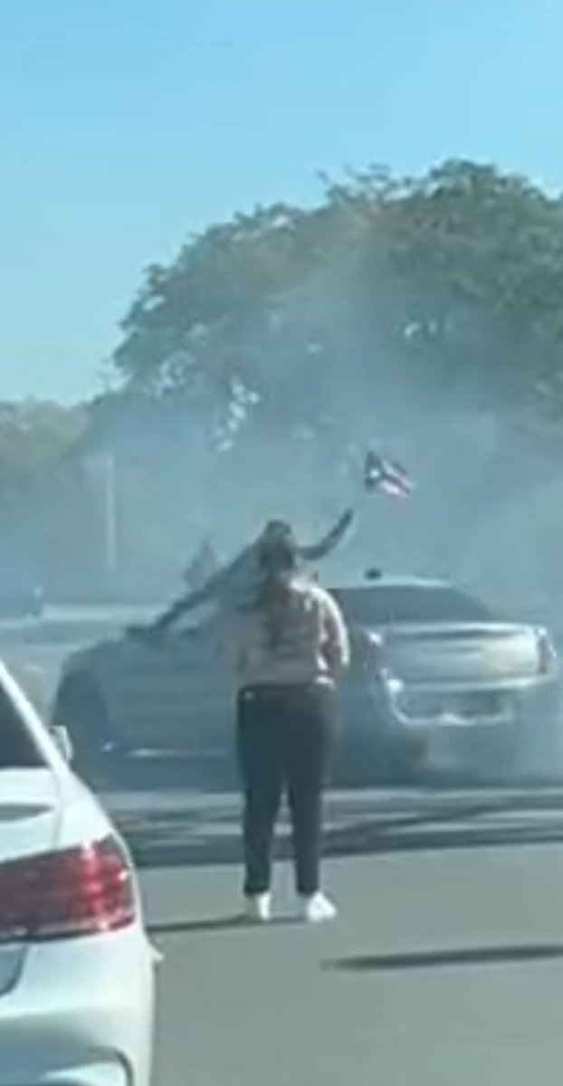 zoo_bear's tweet photo. FAKE NEWS BY @MattWallace888 AGAIN!  
That's Not Palestinian Protesters in New York. That's Puerto Rico 🇵🇷 flag. 

His tweet has 1+ Million views in 2 hours. When Elon Musk took over Twitter Last year, Matt Wallace had 2.5 Lakh followers. Thanks to amplification of fake News, He now Has 1.3 Million followers.