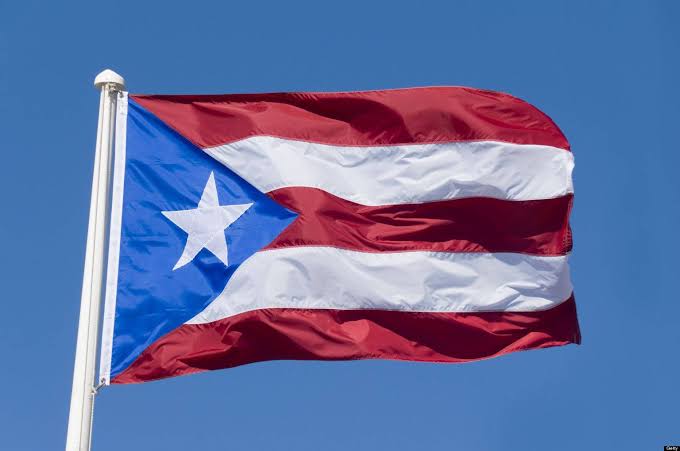 zoo_bear's tweet photo. FAKE NEWS BY @MattWallace888 AGAIN!  
That's Not Palestinian Protesters in New York. That's Puerto Rico 🇵🇷 flag. 

His tweet has 1+ Million views in 2 hours. When Elon Musk took over Twitter Last year, Matt Wallace had 2.5 Lakh followers. Thanks to amplification of fake News, He now Has 1.3 Million followers.