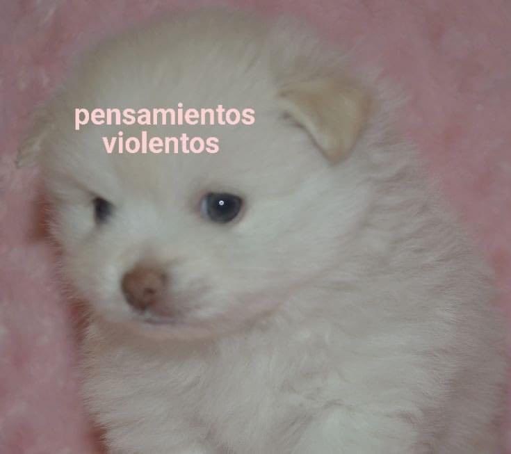 Angidramas's tweet photo. 4 horas de reunión en casa presidencial para nada, que perdida de tiempo 😠
#BloqueoGT #GuateResiste https://t.co/HikTHq1bmR