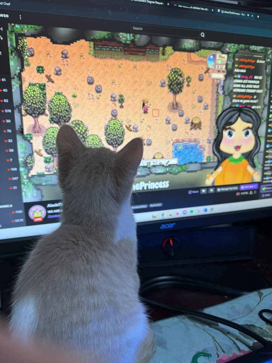 Aelycat's tweet photo. Macaroni is watching @AlxsThePrincess https://t.co/5bQG81kbMw