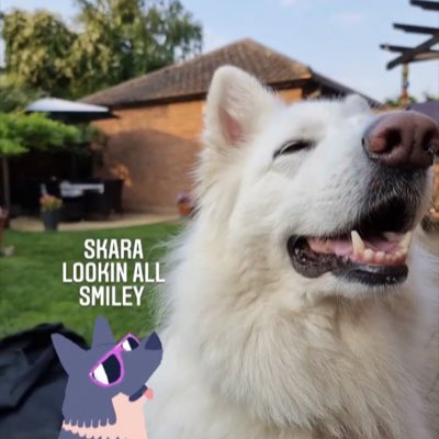 DkSteefan's tweet photo. #NewProfilePic https://t.co/KMY7zRQfXL