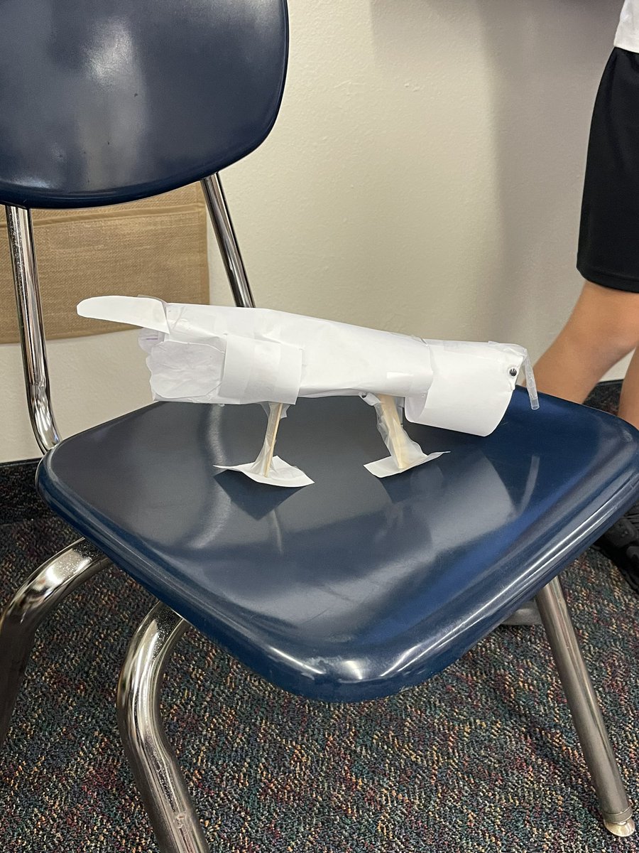 cironek1219's tweet photo. 3d and 2d models of birds- science stem activity!! #celebratelps @CitrusSchools https://t.co/sG8AOkCiUB