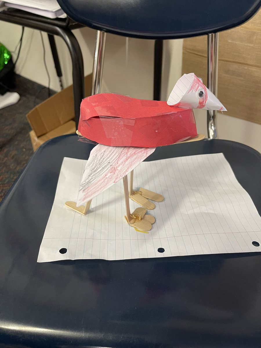 cironek1219's tweet photo. 3d and 2d models of birds- science stem activity!! #celebratelps @CitrusSchools https://t.co/sG8AOkCiUB