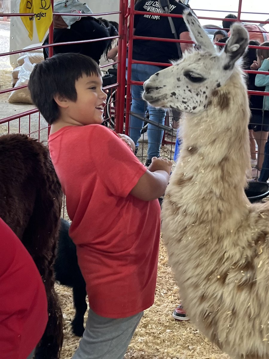 Speegleville's tweet photo. 1st grade at the Heart of Texas Fair and Rodeo! #MidwayISD #Speegleville #SPELearning #SpeeglevilleProud #hotfair https://t.co/IzyfBXjz0g