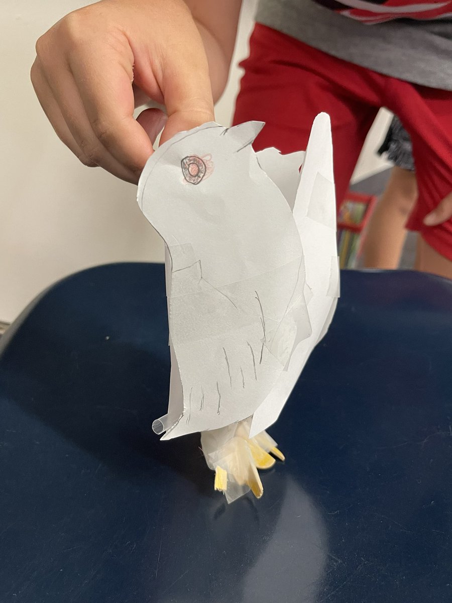 cironek1219's tweet photo. Last groups with their 2d and 3d models- #celebratelps @CitrusSchools https://t.co/2i3zcnLDQY